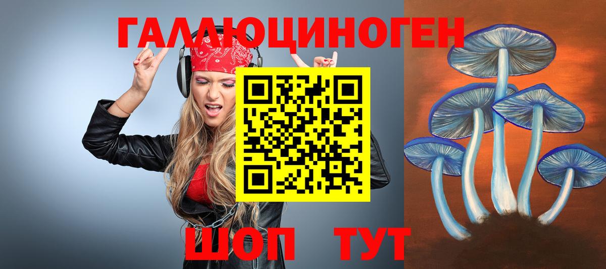 Нововоронеж  Галлюциногенные грибы Magic Shrooms  Вход с VPN 